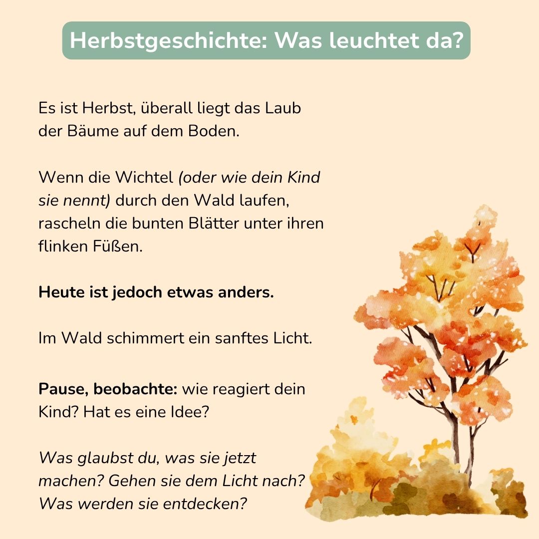 Freispiel Set (3+) "Waldzauber"