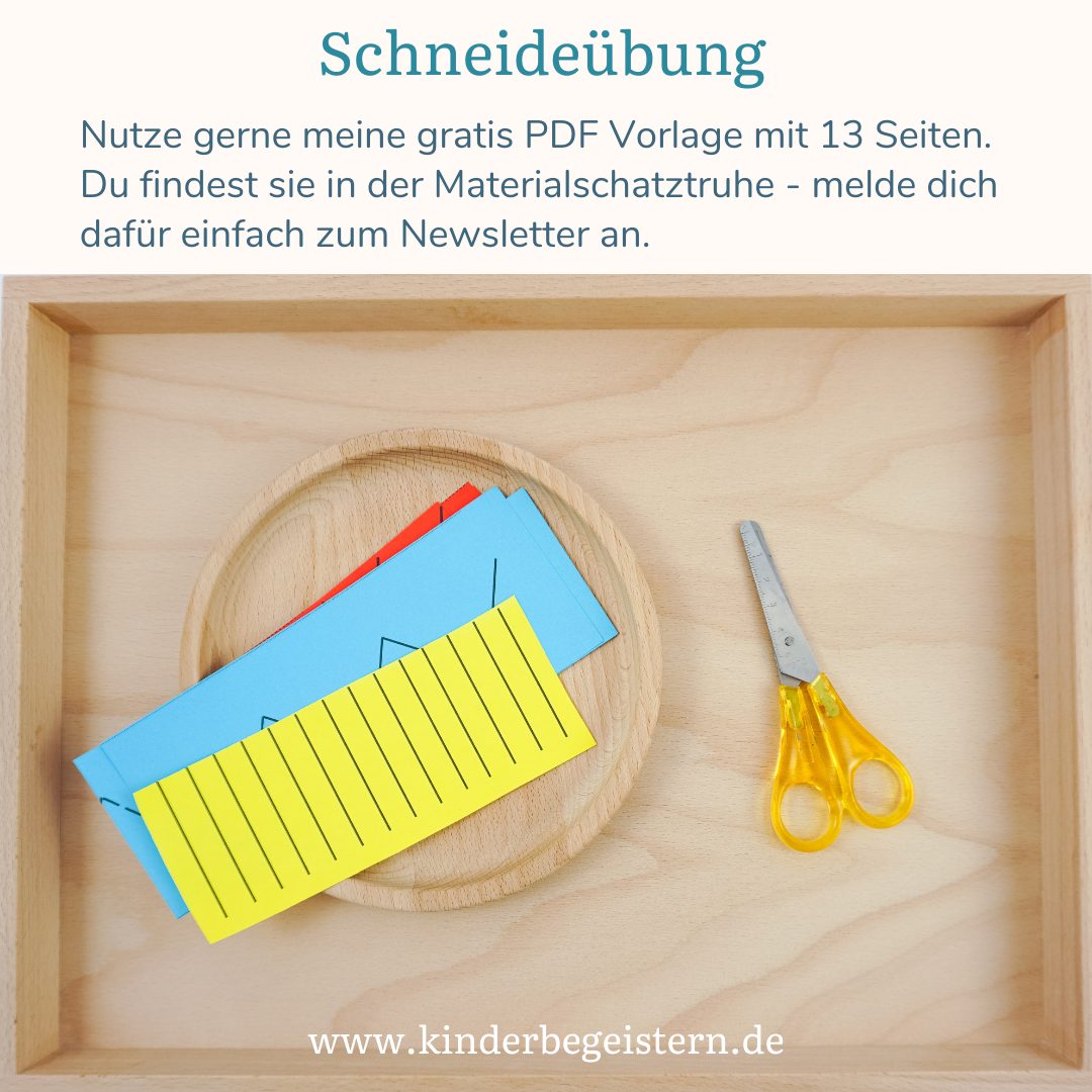 3015 Scheren (5)