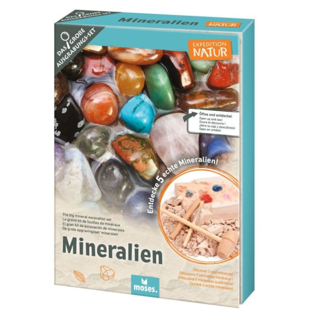 Großes Ausgrabungsset Mineralien