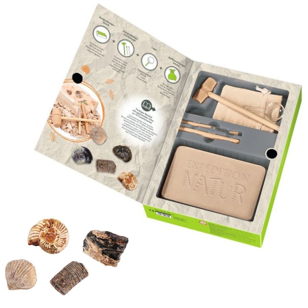Großes Ausgrabungsset Fossilien