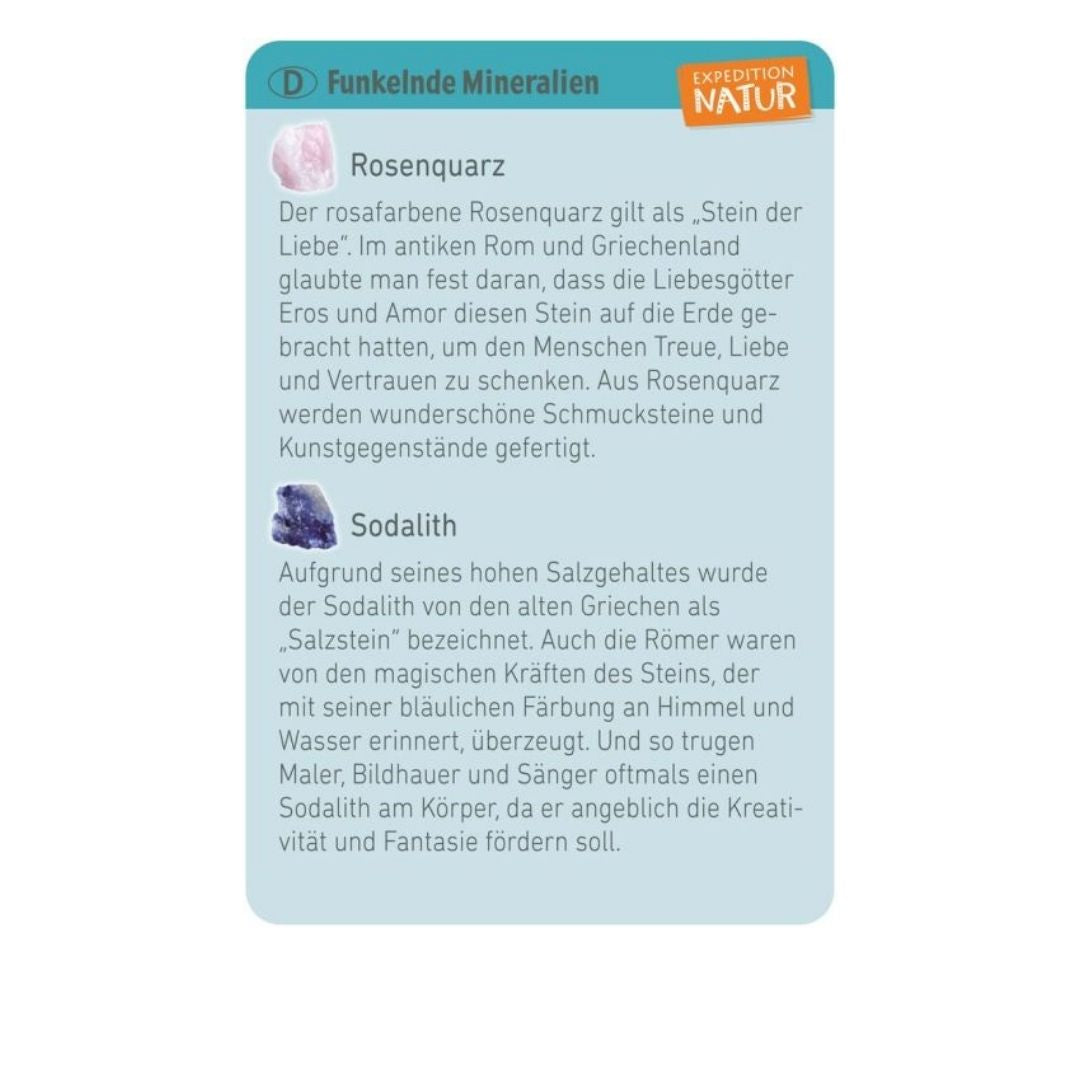 Mini Ausgrabungsset