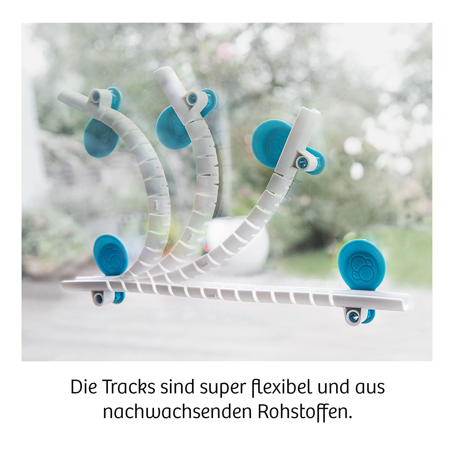 Gecko Run - Challenge XXL