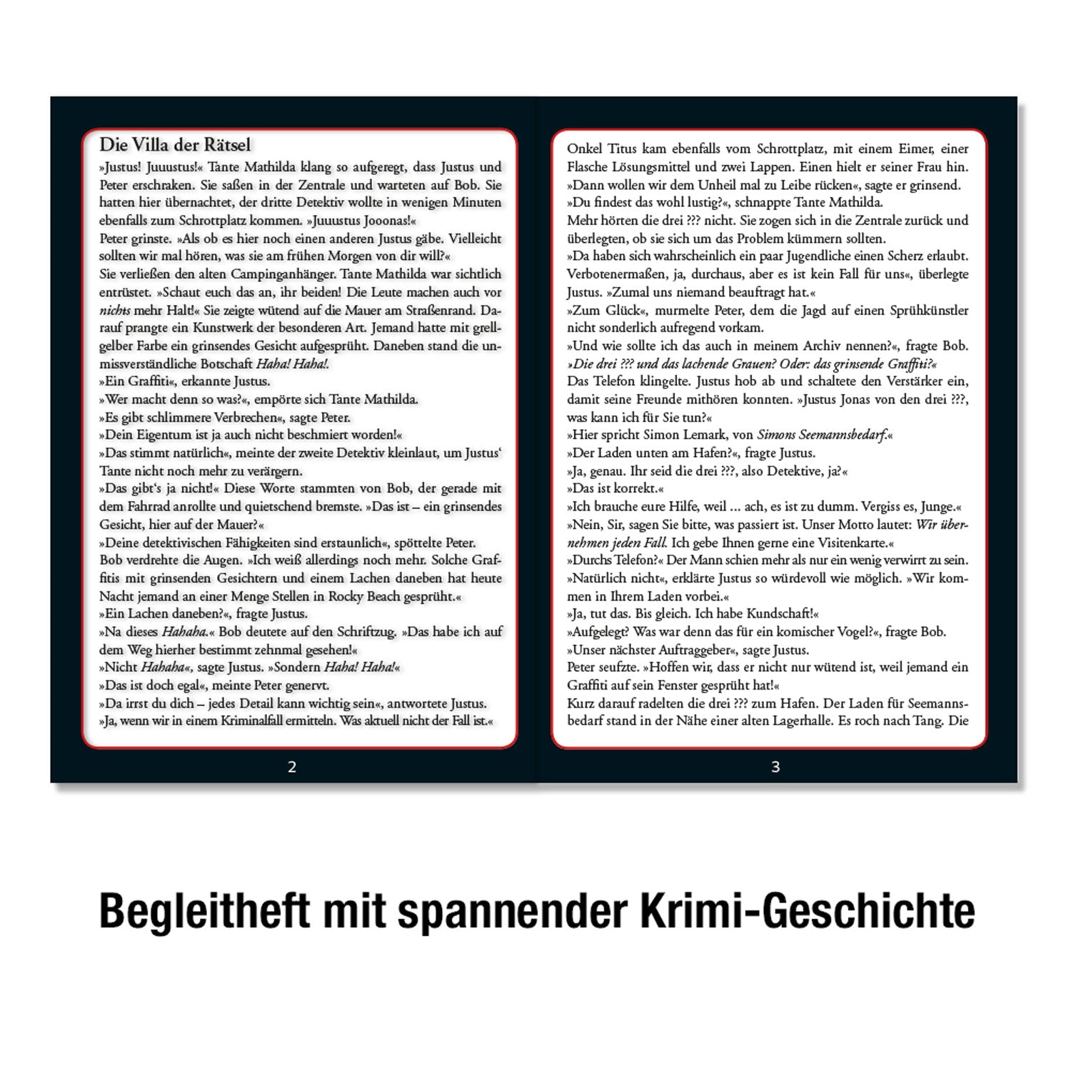 Krimipuzzle Die drei ??? Die Villa der Rätsel