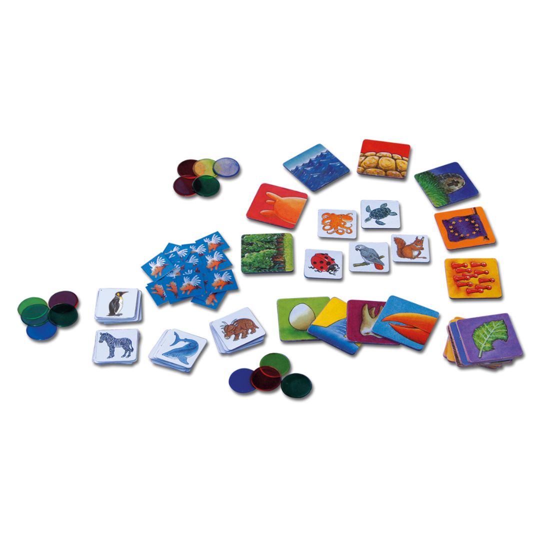 Können Schweine fliegen?