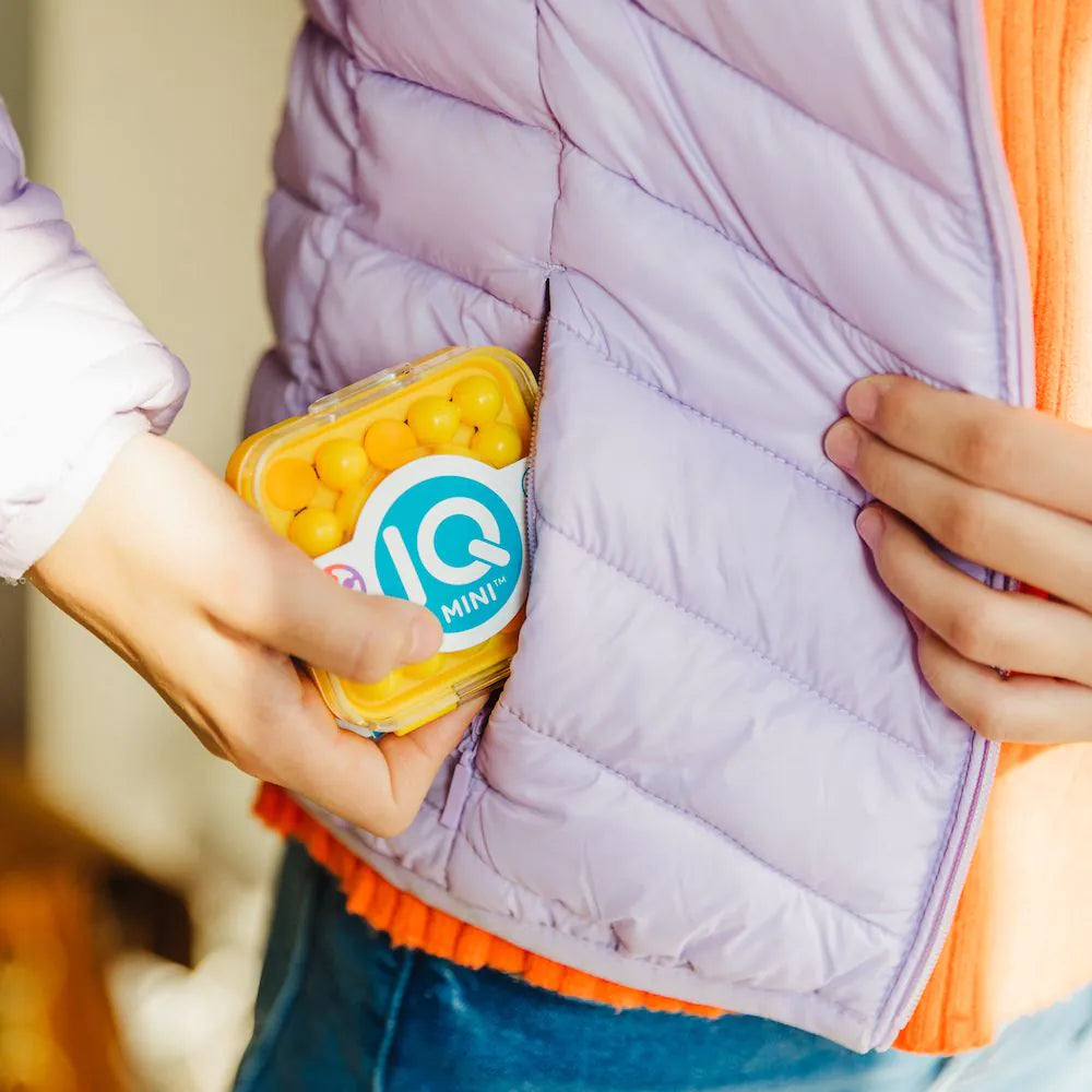 IQ Mini (6+) Smart Games