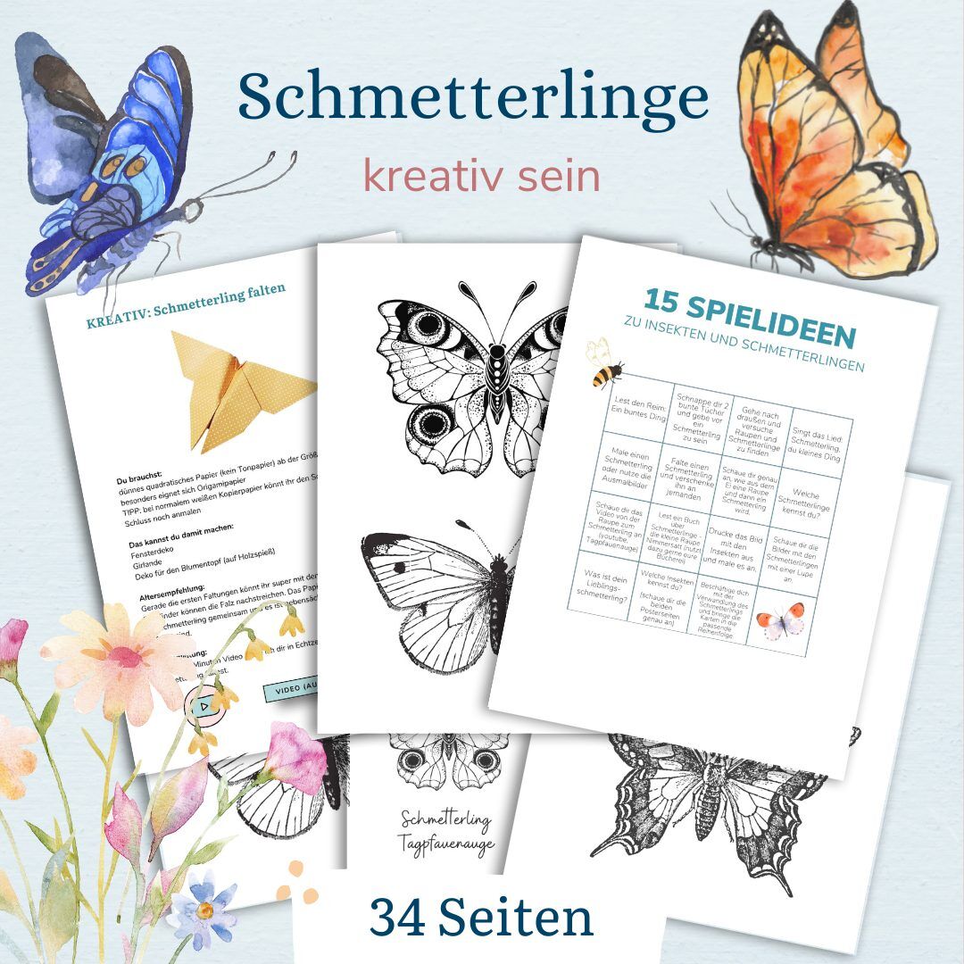 Lebenszyklus eines Schmetterlings mit Kindern verstehen - wie verwandelt sich ein Schmetterling - Kindern erklären - mit Kindern entdecken