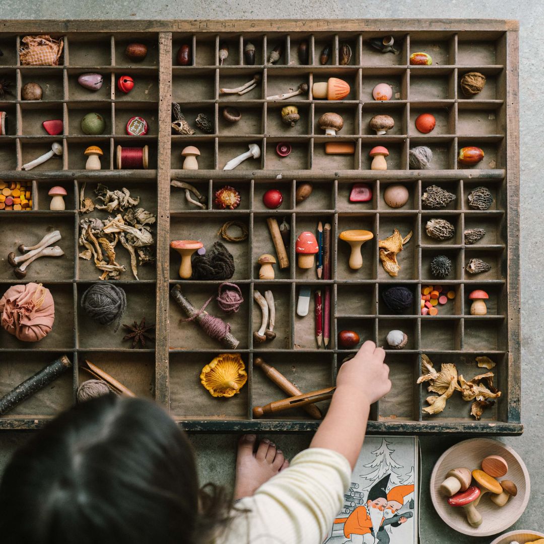 Mushroom Grove - 18 Pilze