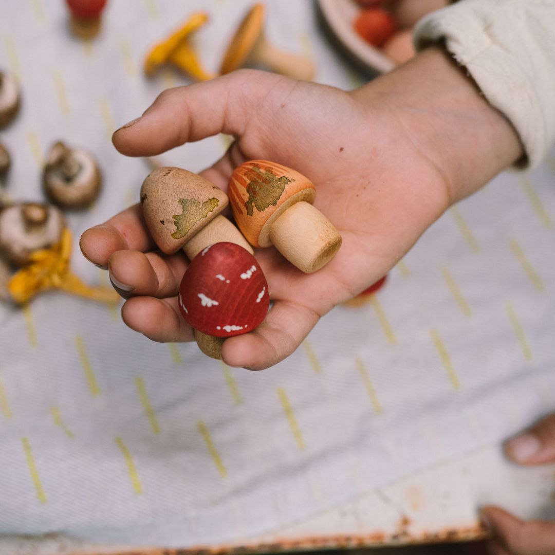 Mushroom Grove - 18 Pilze