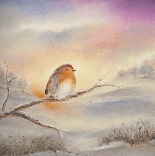 Rotkehlchen im Winter (Baukje Exler)