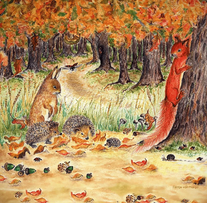 Herbsthimbeere - Autumn Bliss (Eentje van Margo)