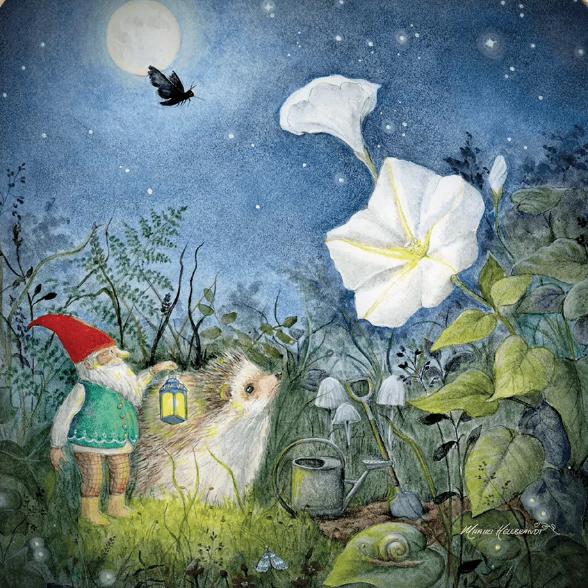 Moonflower (Mhairi Hellbrandt)