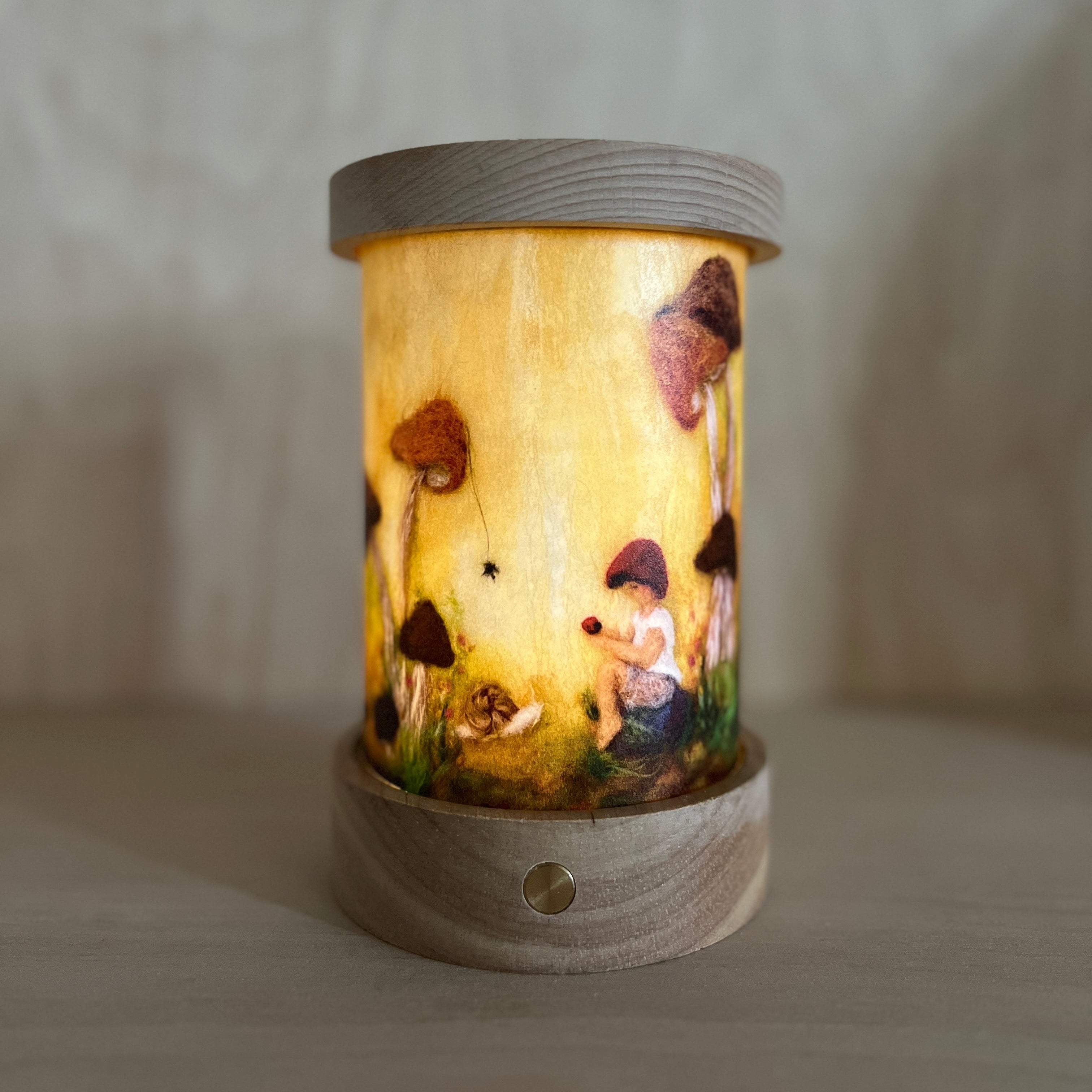 Startset Toverlux LATERNE