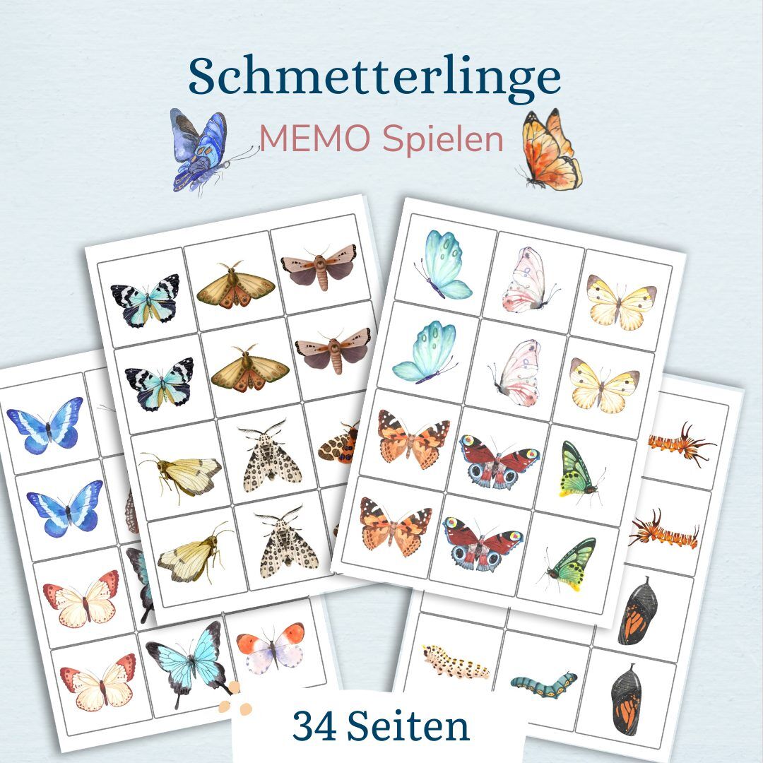 Lebenszyklus eines Schmetterlings mit Kindern verstehen - wie verwandelt sich ein Schmetterling - Kindern erklären - mit Kindern entdecken