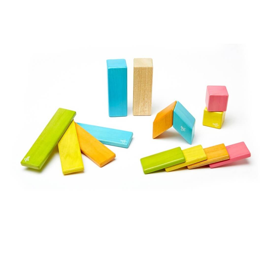 5005001 Tegu 14tlg Set magnetische Holzblöcke