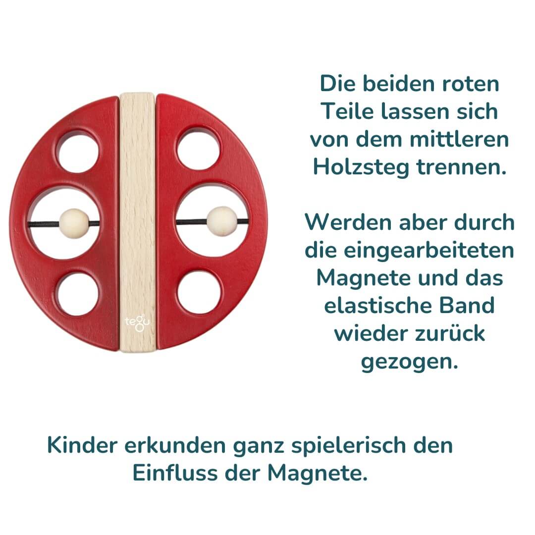 5005002 Tegu Käfer magnetisch rot (3)