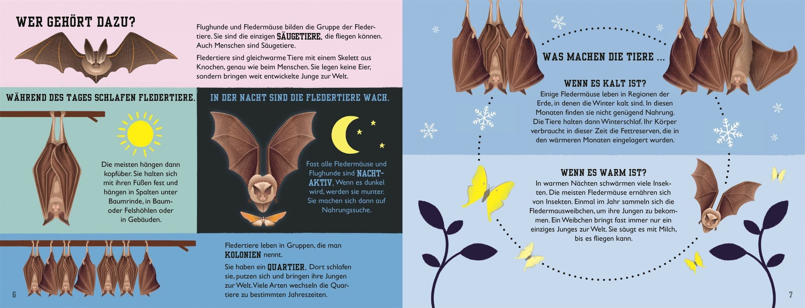 7001002 DK Fledermaus - Sachbuch Tiere für Kinder - ab 5 Jahren - 9783831040605 - 2
