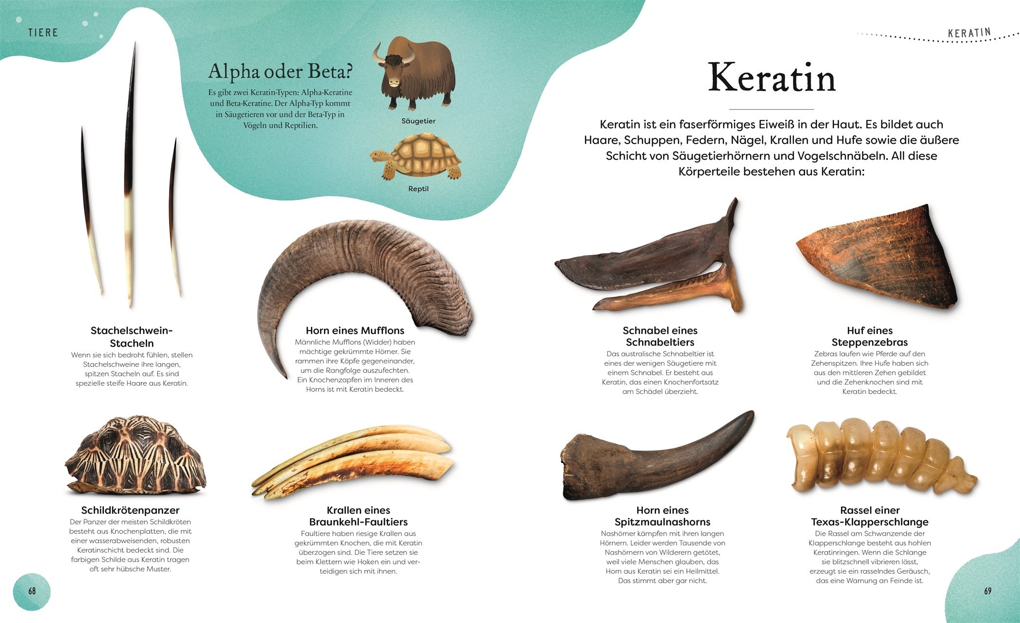 7001008 Große und kleine Schätze der Natur DK Verlag 9783831044009_IN04 Bild vom Verlag BvV