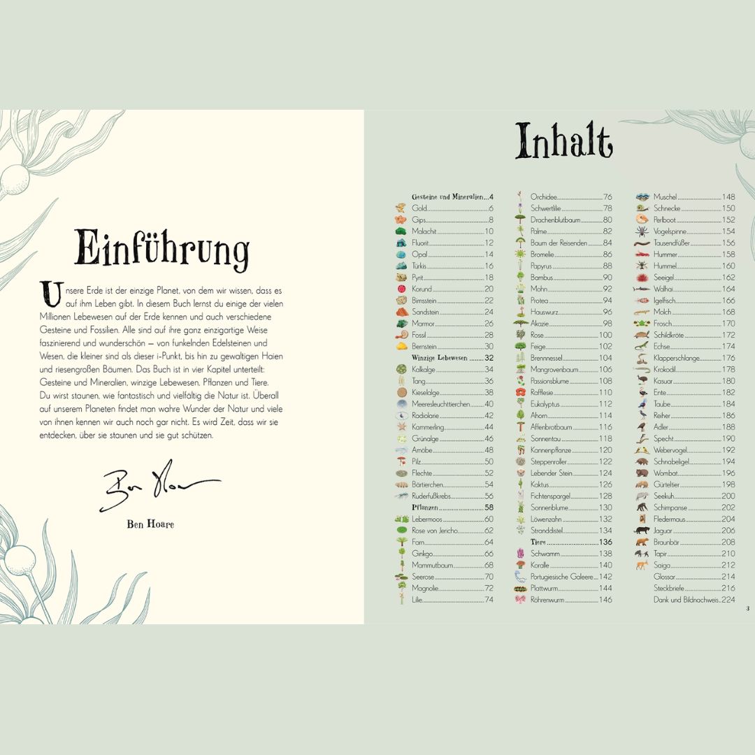 Wundervolle Welt der Natur