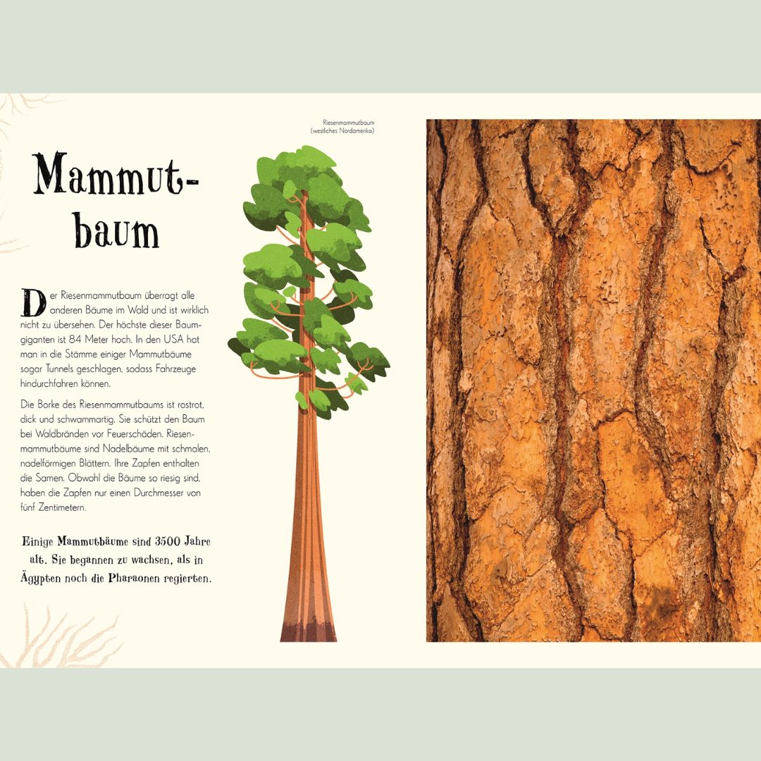 Wundervolle Welt der Natur