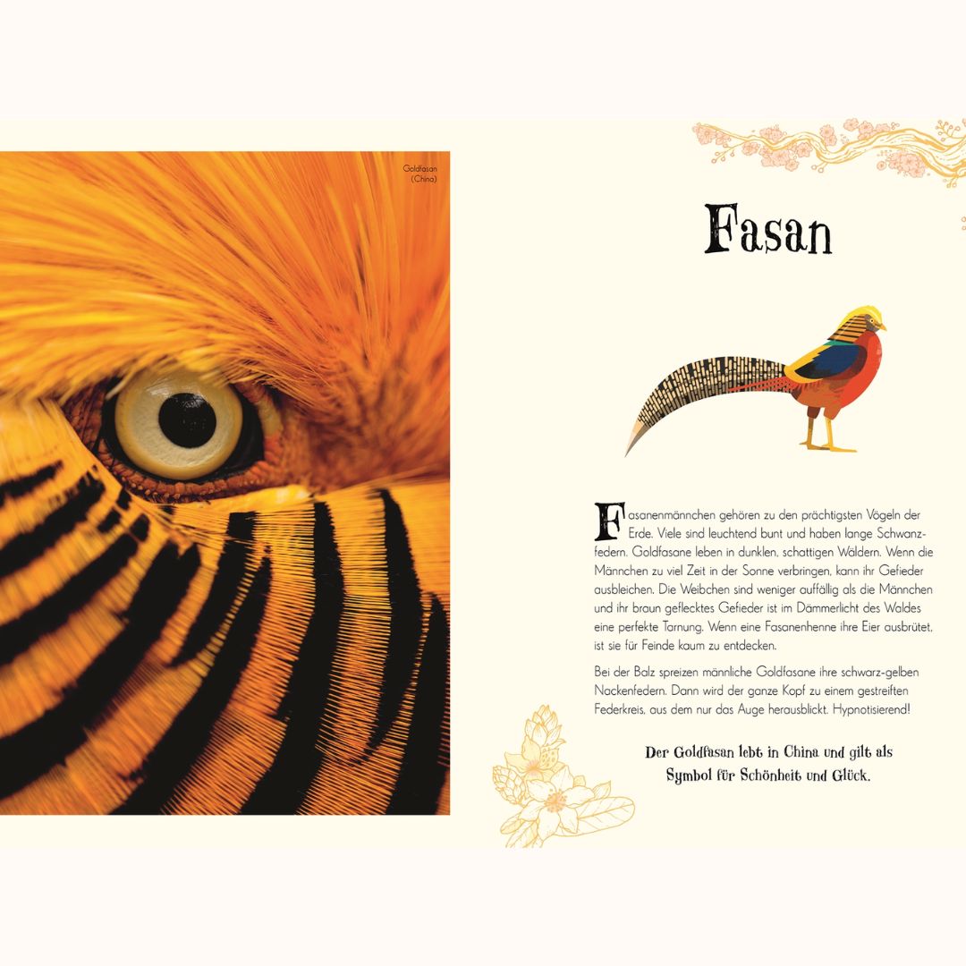 Wundervolle Welt der Tiere