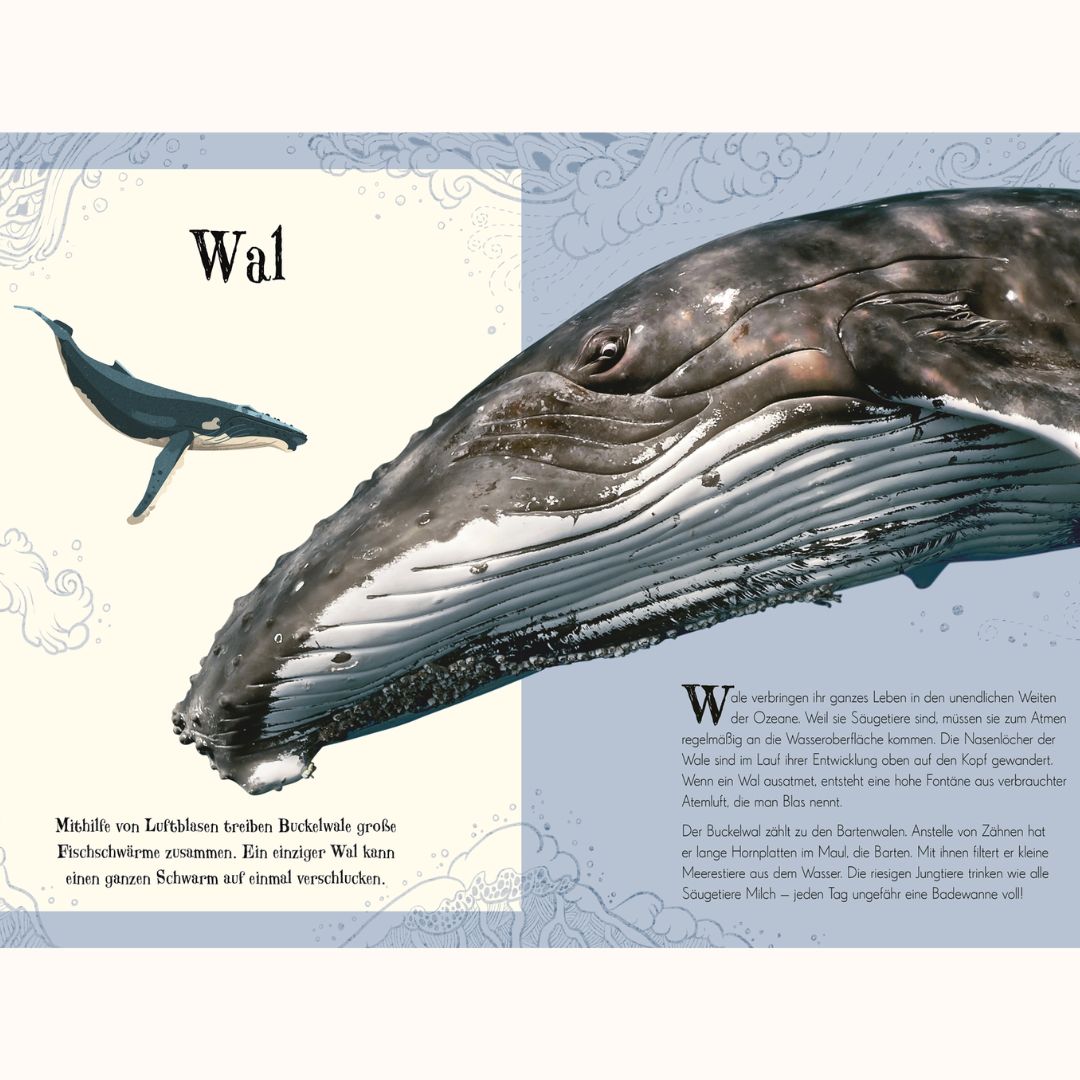 Wundervolle Welt der Tiere