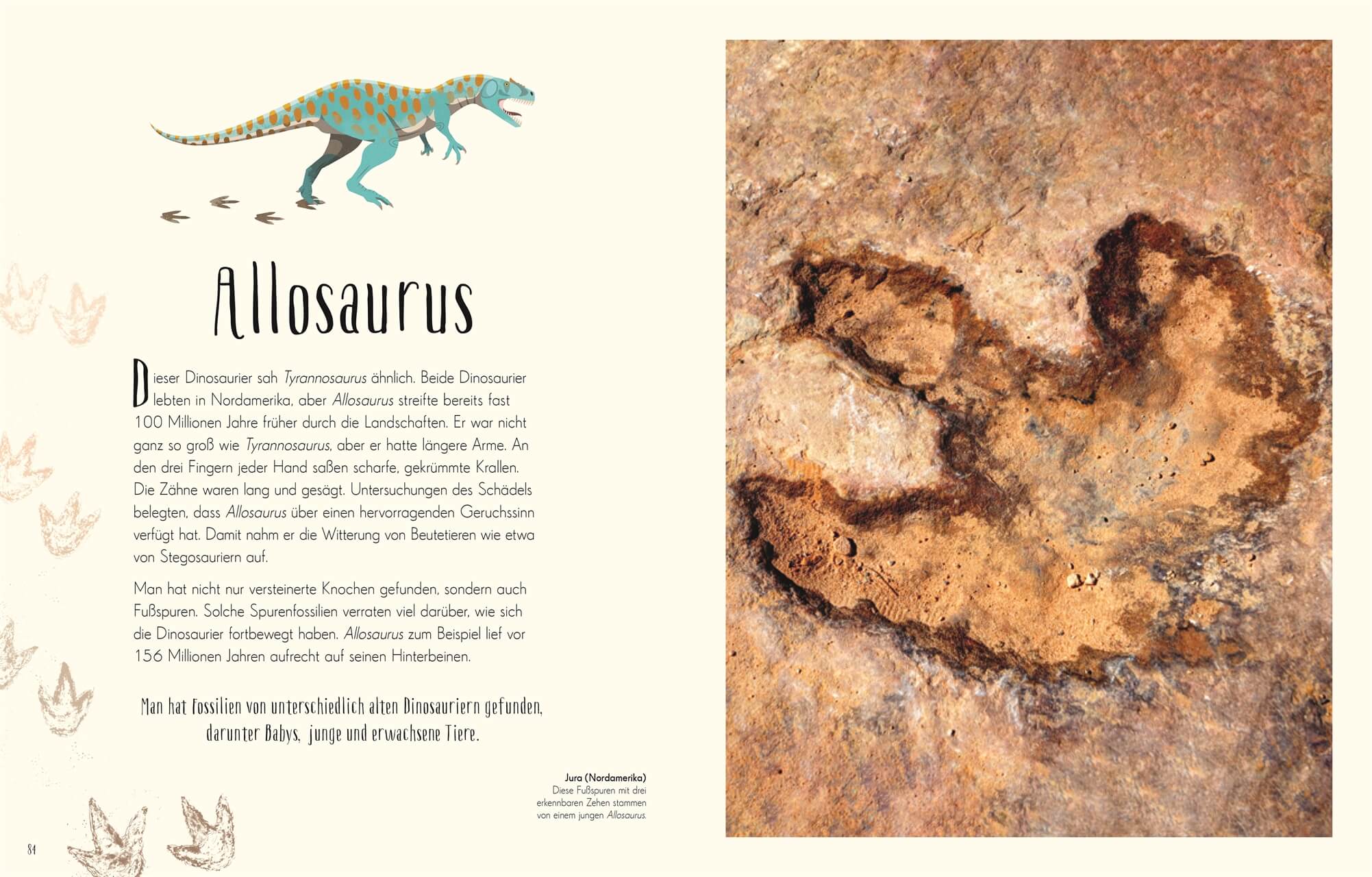 7001031 Wundervolle Welt der Dinosaurier 9783831045037_IN04