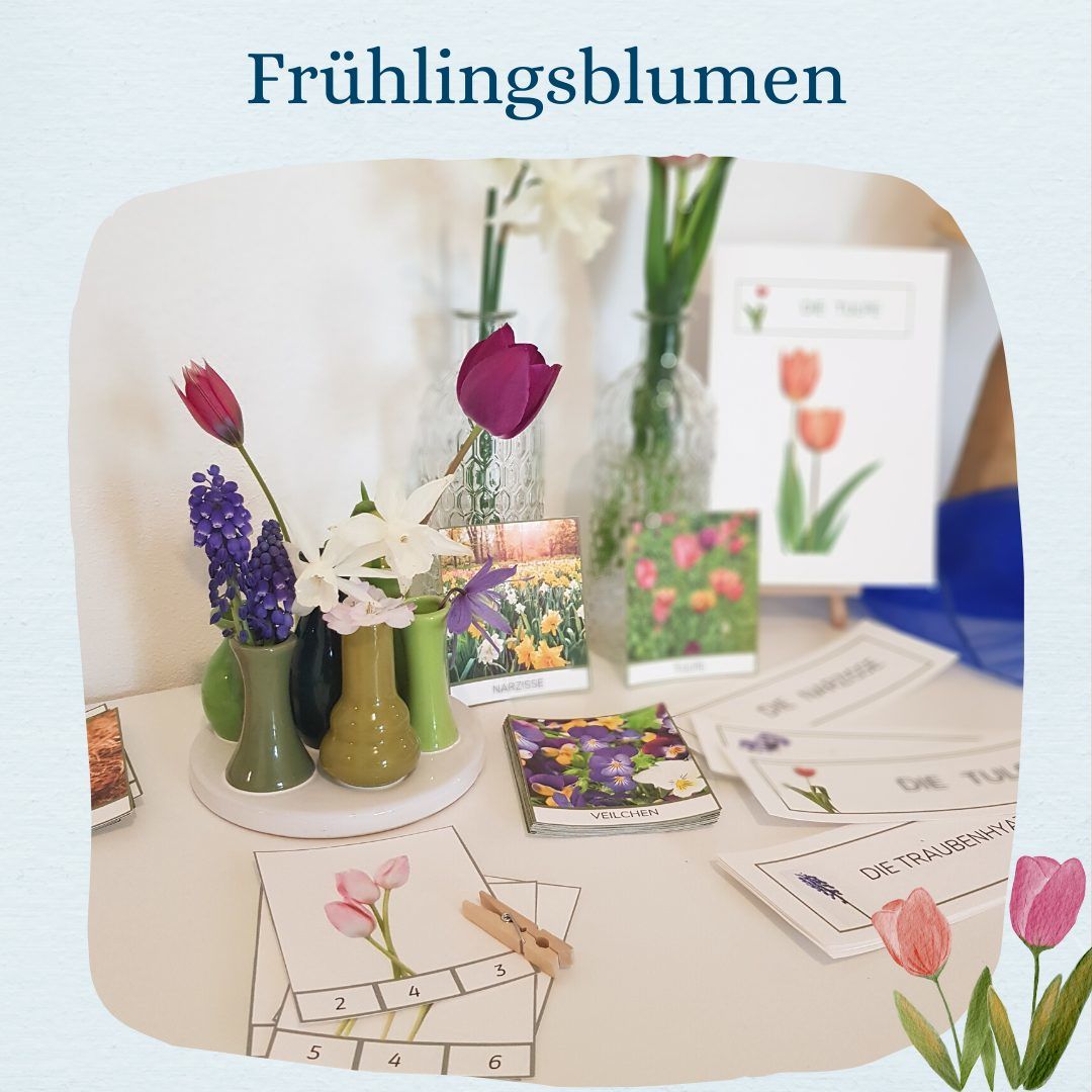 Frühlingsblumen Materialpaket Produktbild 3