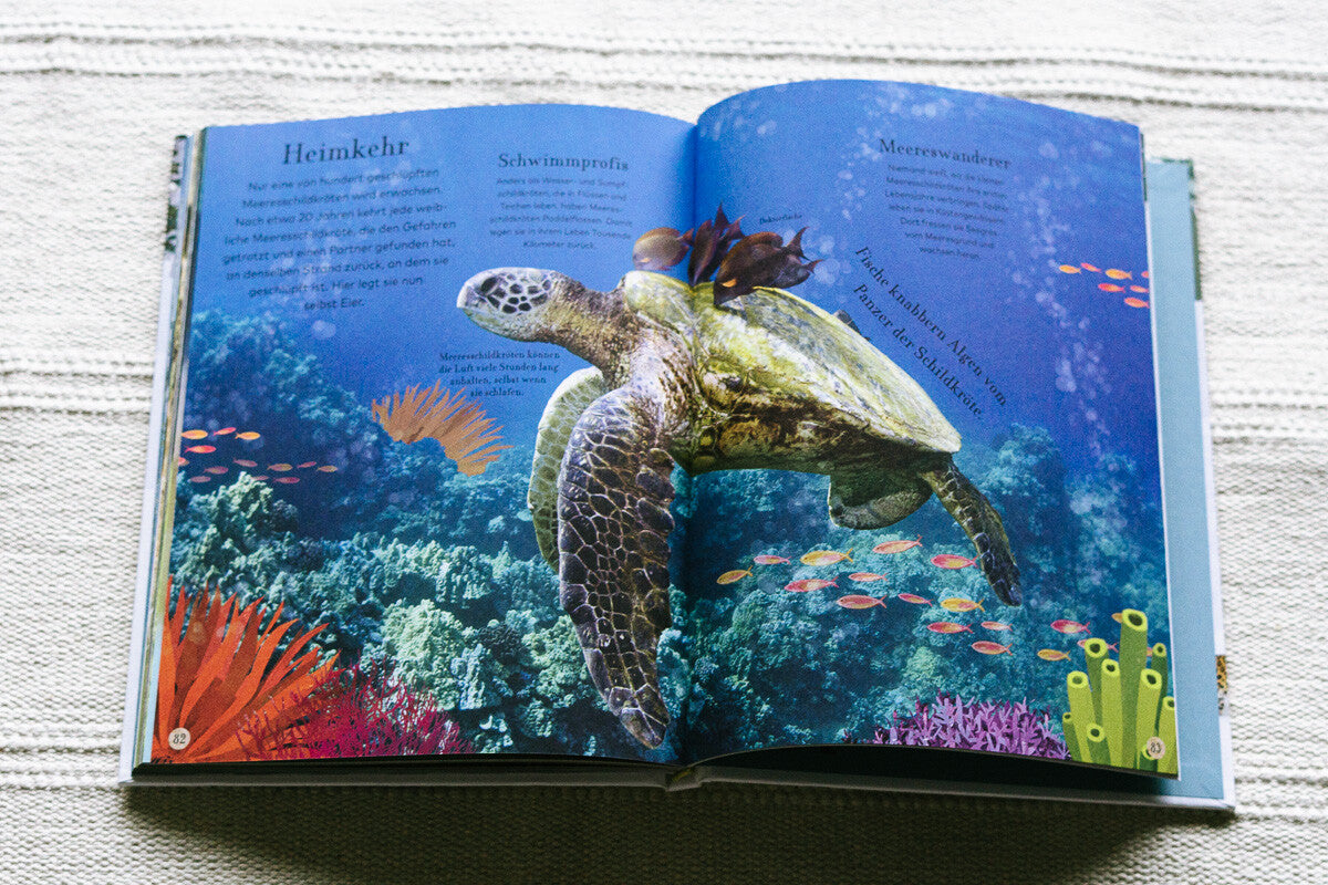 Sachbücher für Kinder, Erklärbücher, Bücher für Kinder