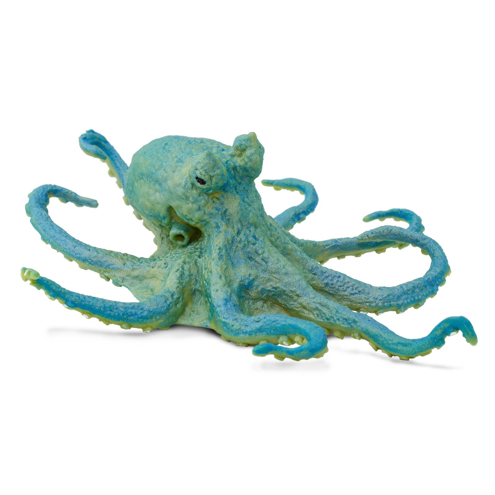 Oktopus