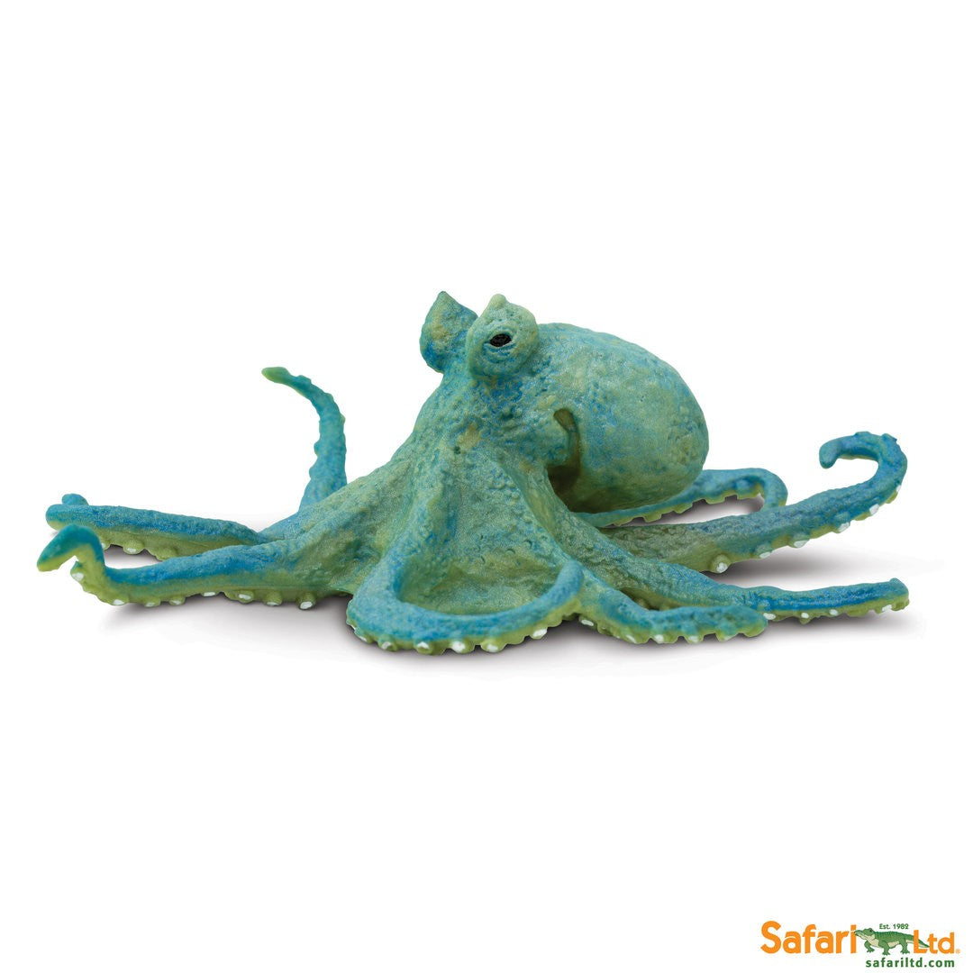 Oktopus