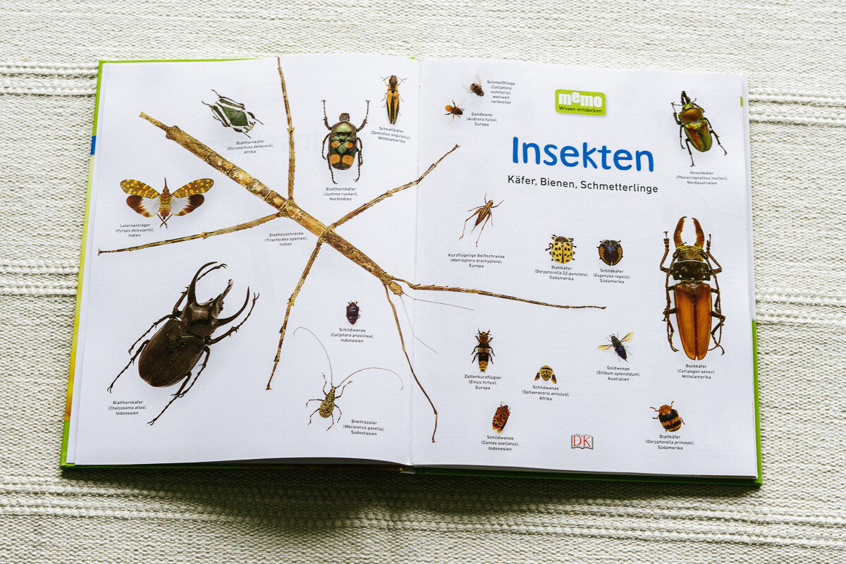 Sachbücher für Kinder im Frühling, Natursachbuch für Kinder, Insekten