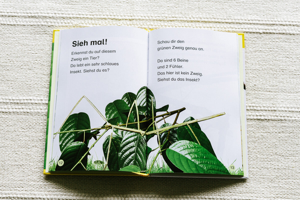 Sachbücher für Kinder, Erstleser, Lesestufe 1, Insekten top getarnt