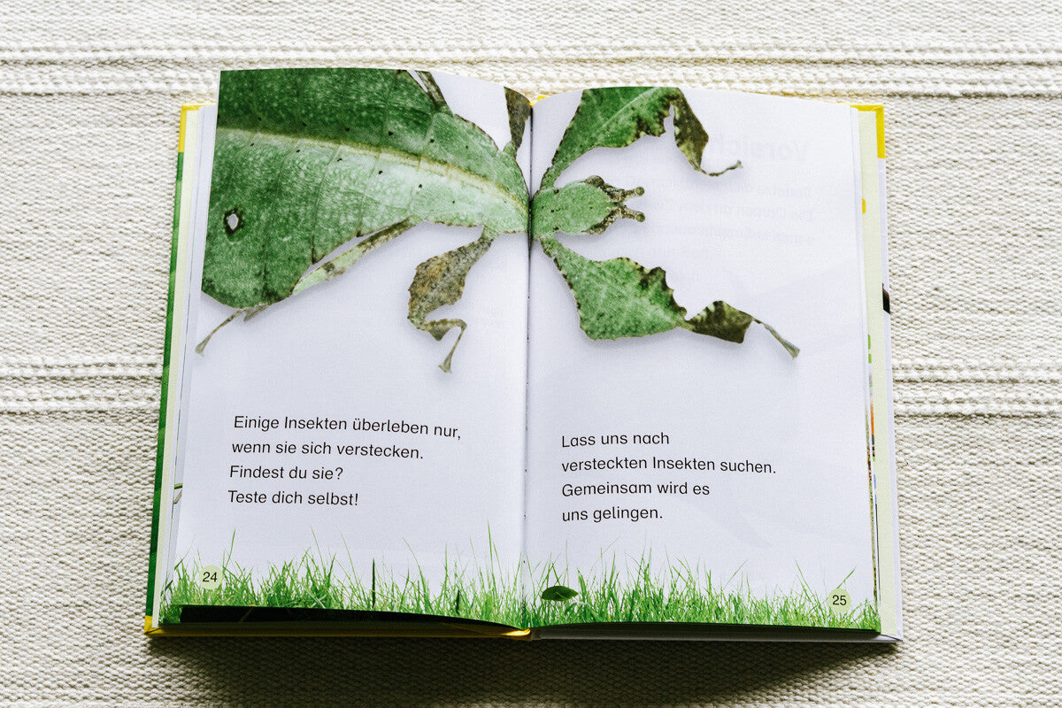 Sachbücher für Kinder, Erstleser, Lesestufe 1, Insekten top getarnt