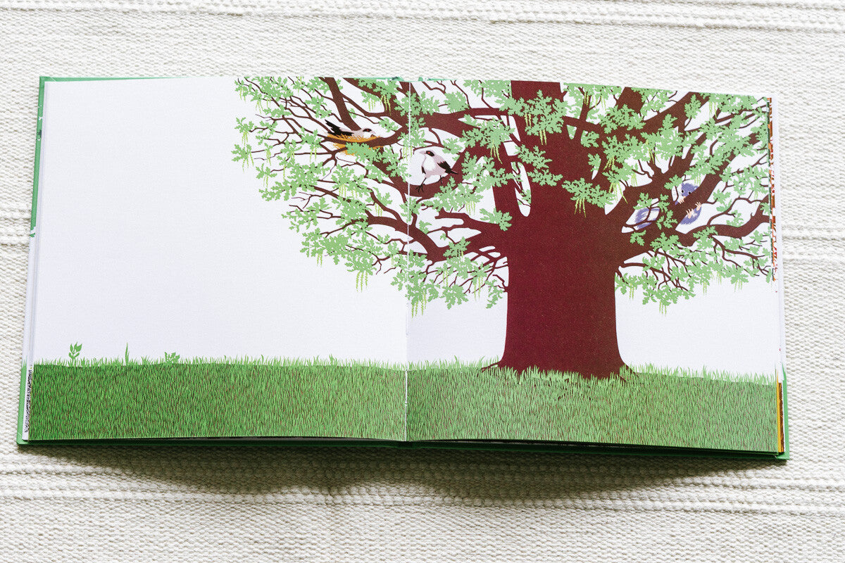 Ein baum geht durch das Jahr