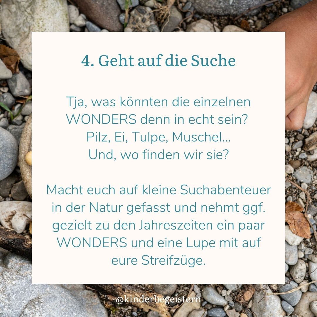 Wonders 4001233 5