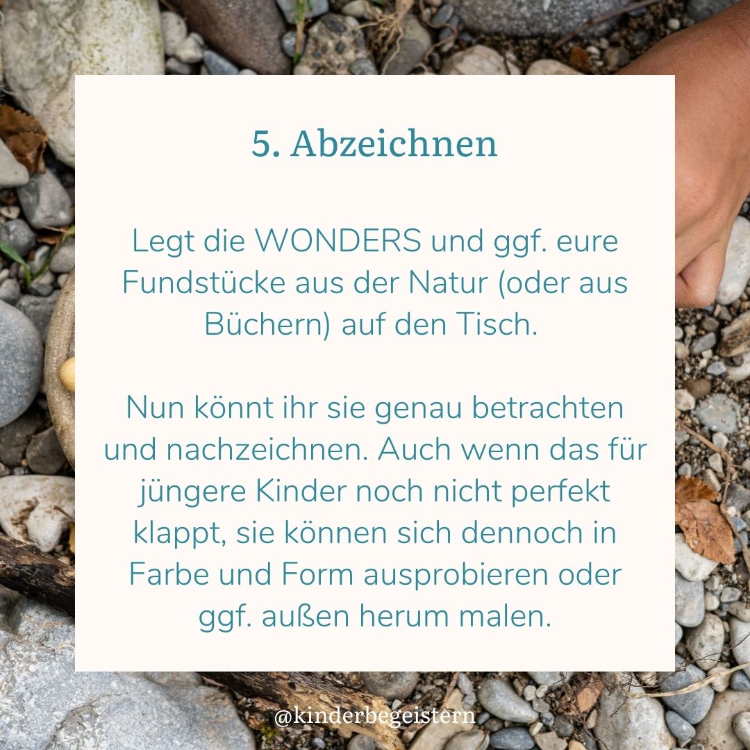 Wonders 4001233 7