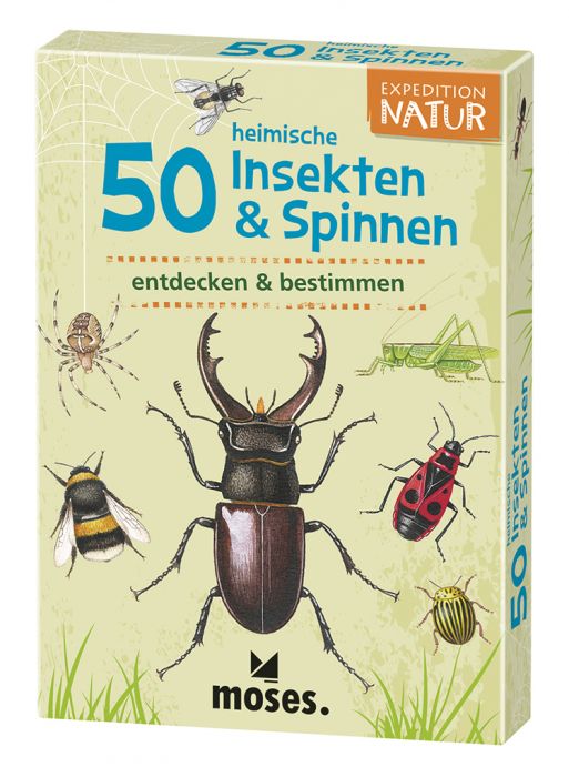 50 heimische Insekten und Spinnen