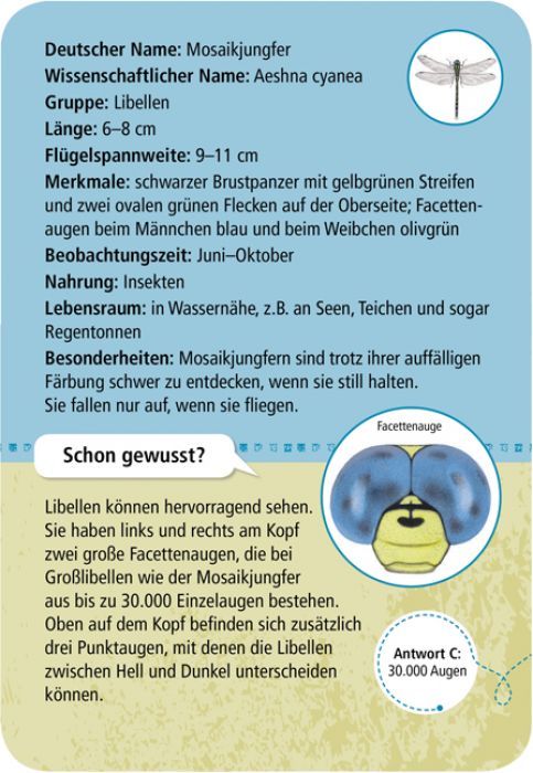 50 heimische Insekten und Spinnen