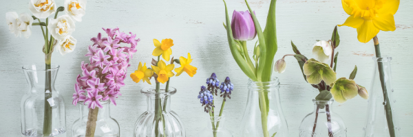 Mit Kindern Blumen lernen - mit Kindern den Frühling entdecken - mit Kindern durch die Jahreszeiten