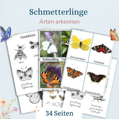 Lebenszyklus eines Schmetterlings mit Kindern verstehen - wie verwandelt sich ein Schmetterling - Kindern erklären  - mit Kindern entdecken