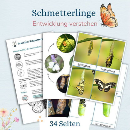 Lebenszyklus eines Schmetterlings mit Kindern verstehen - wie verwandelt sich ein Schmetterling - Kindern erklären  - mit Kindern entdecken