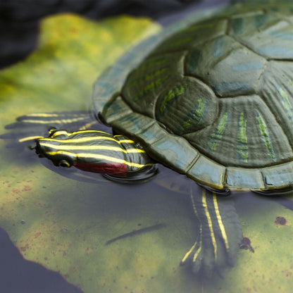 3037209 Rotwangen Schmuckschildkröte Safari Schleich