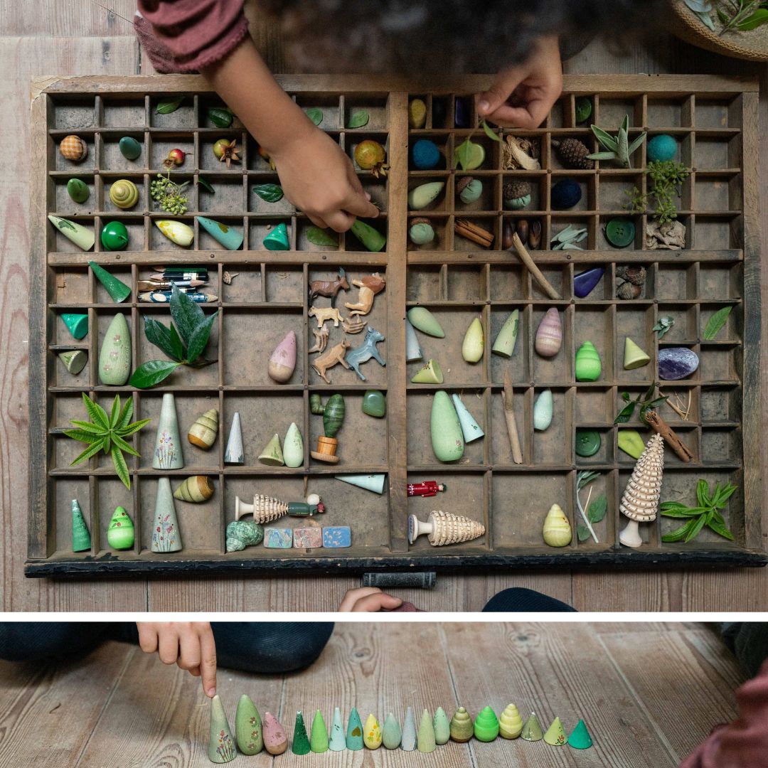 Forest Tree - 18 Waldbäume