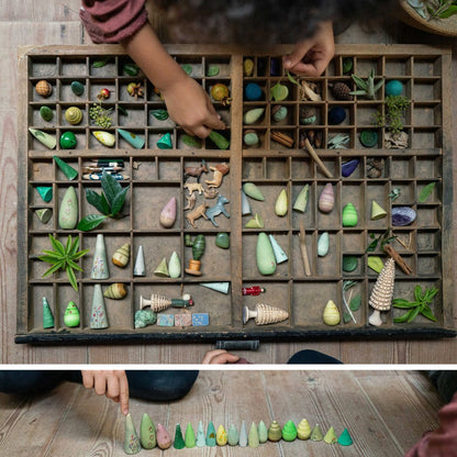 Forest Tree - 18 Waldbäume