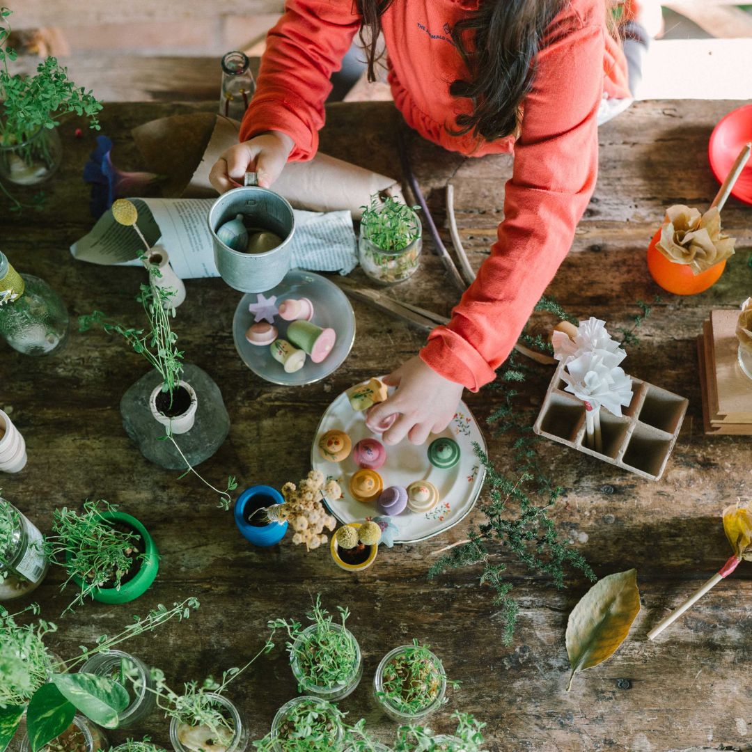 Flower Meadow - 18 Blumen