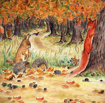 Herbsthimbeere - Autumn Bliss (Eentje van Margo)
