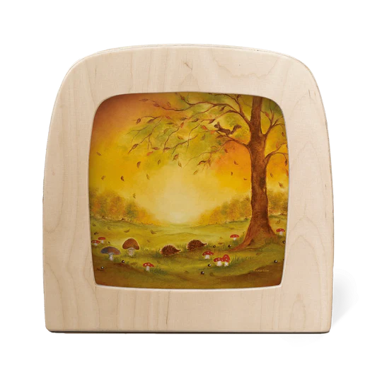 Herbstblätter (Baukje Exler)