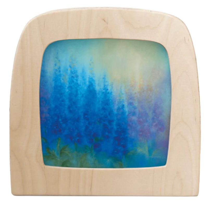 Delphinium (Baukje Exler)