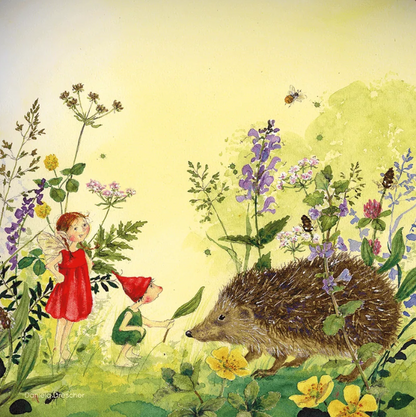 Hedgehog (Daniela Drescher)