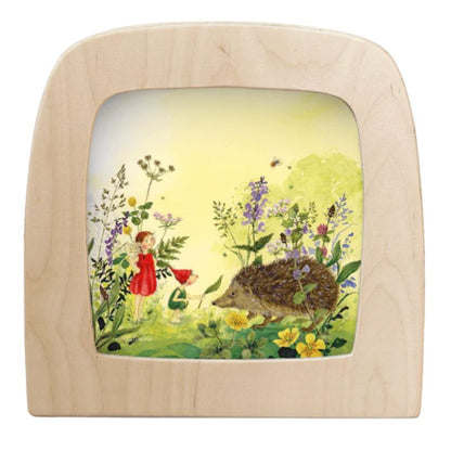 Hedgehog (Daniela Drescher)